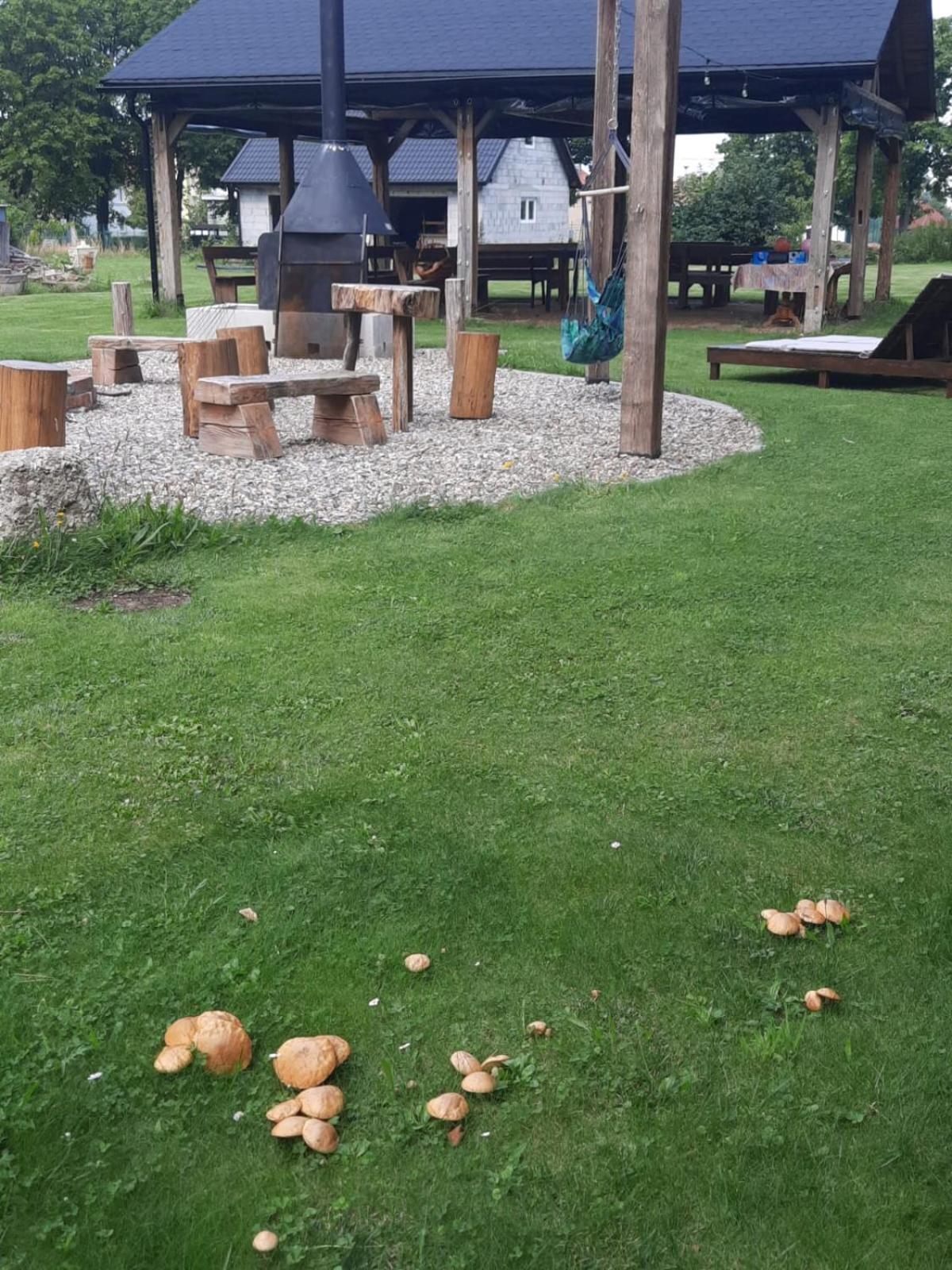 Harcowka 2 Villa Złoty Stok Buitenkant foto